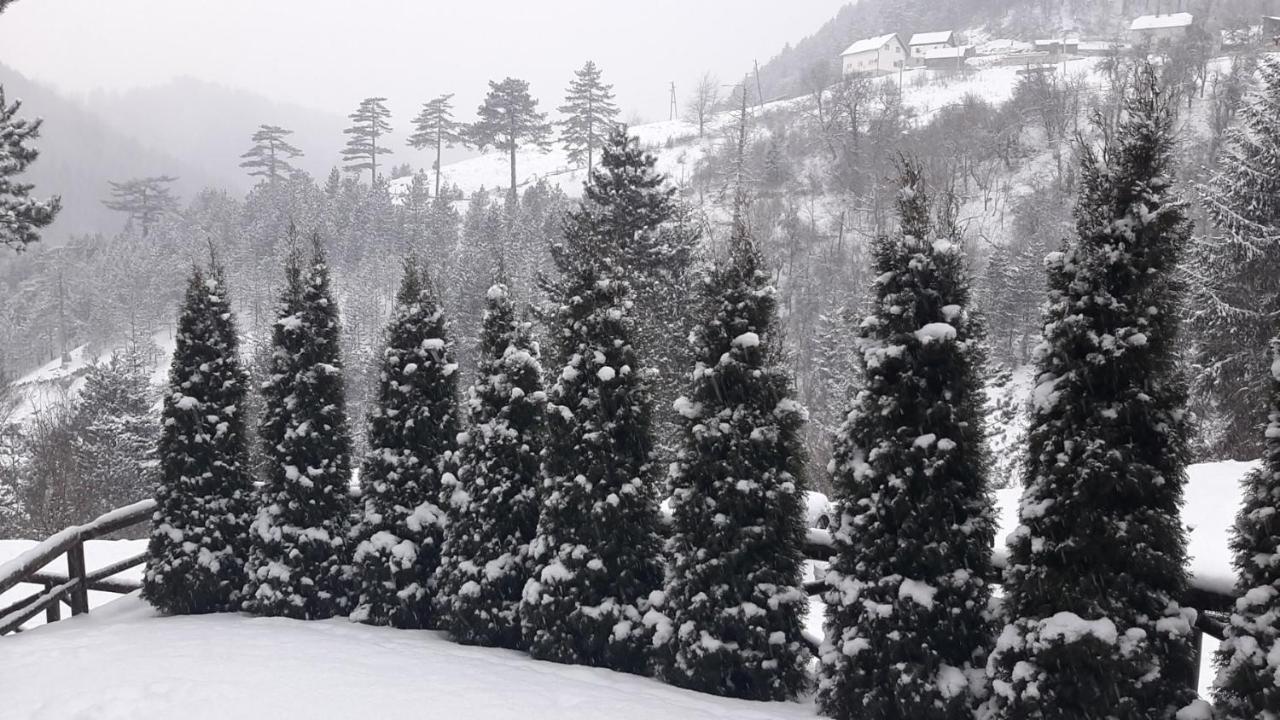 Apartman Suncana Dolina, Zaovine Exterior photo